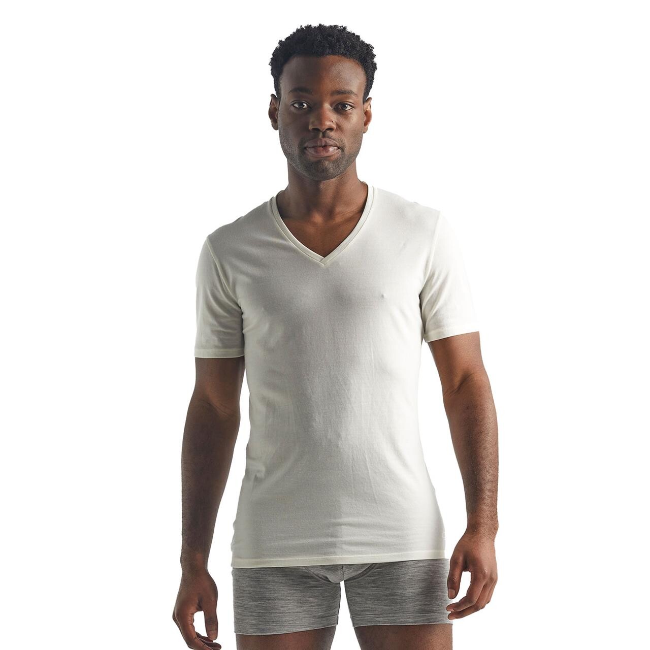 Icebreaker Mens Anatomica S/S V  (Hvid (SNOW) Small)