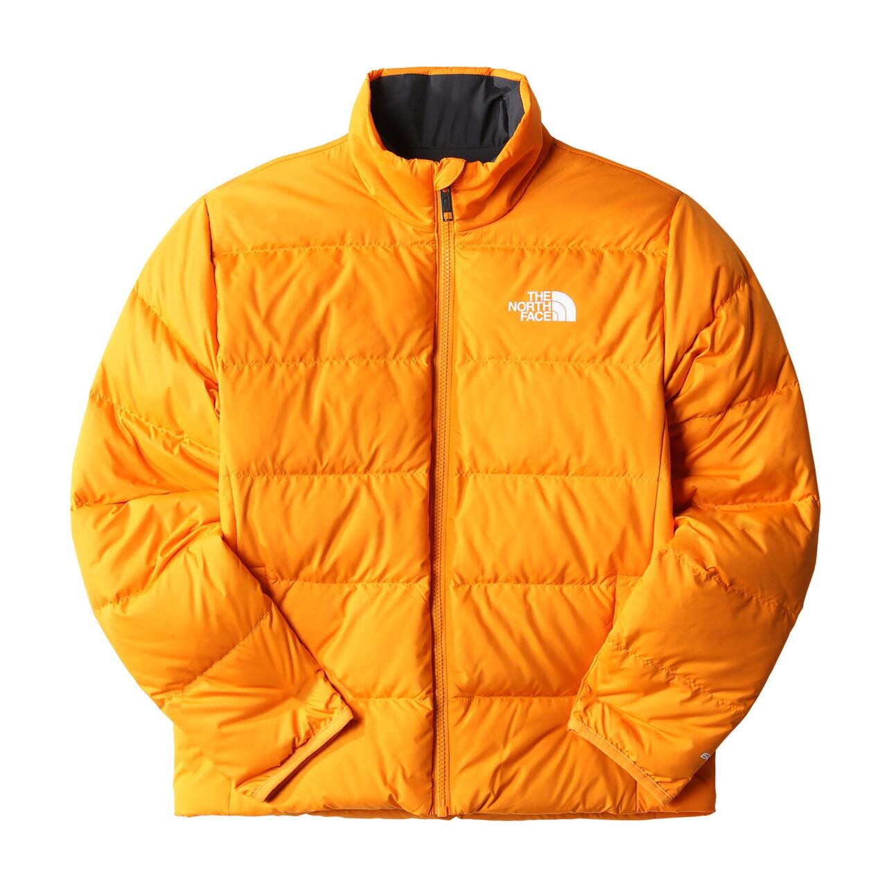 The North Face Teens Reversible North Down Jacket 2022 model (Orange (CONE ORANGE) Large)