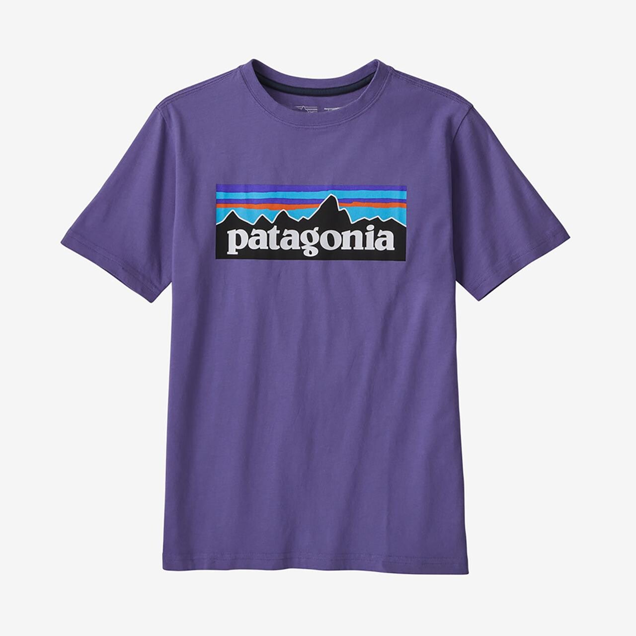 Patagonia Kids Regenerative Org Cotton P-6 Logo T (Lila (PERENNIAL PURPLE) Large)