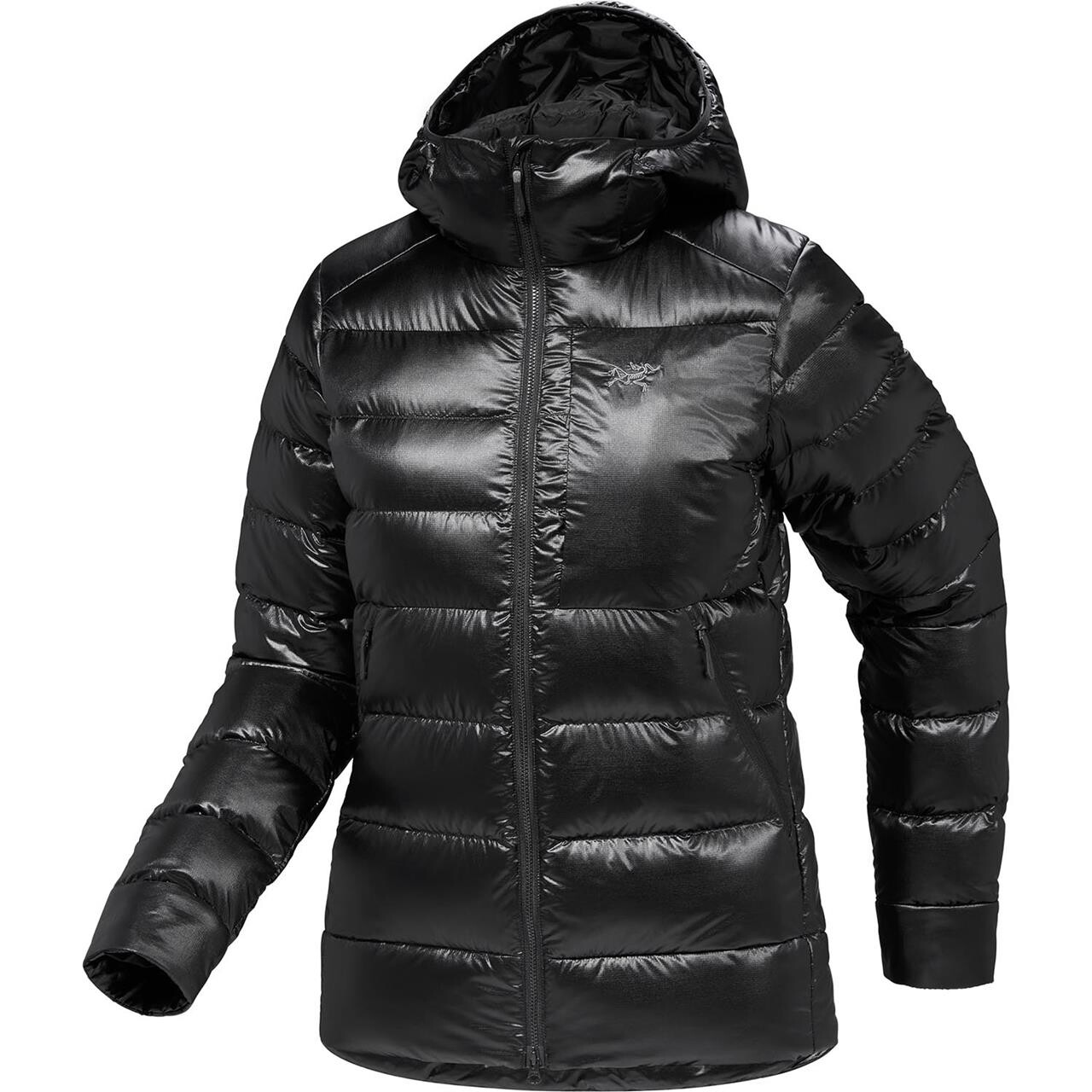 Arcteryx Womens Cerium SV Hoody (Sort (BLACK) Medium)