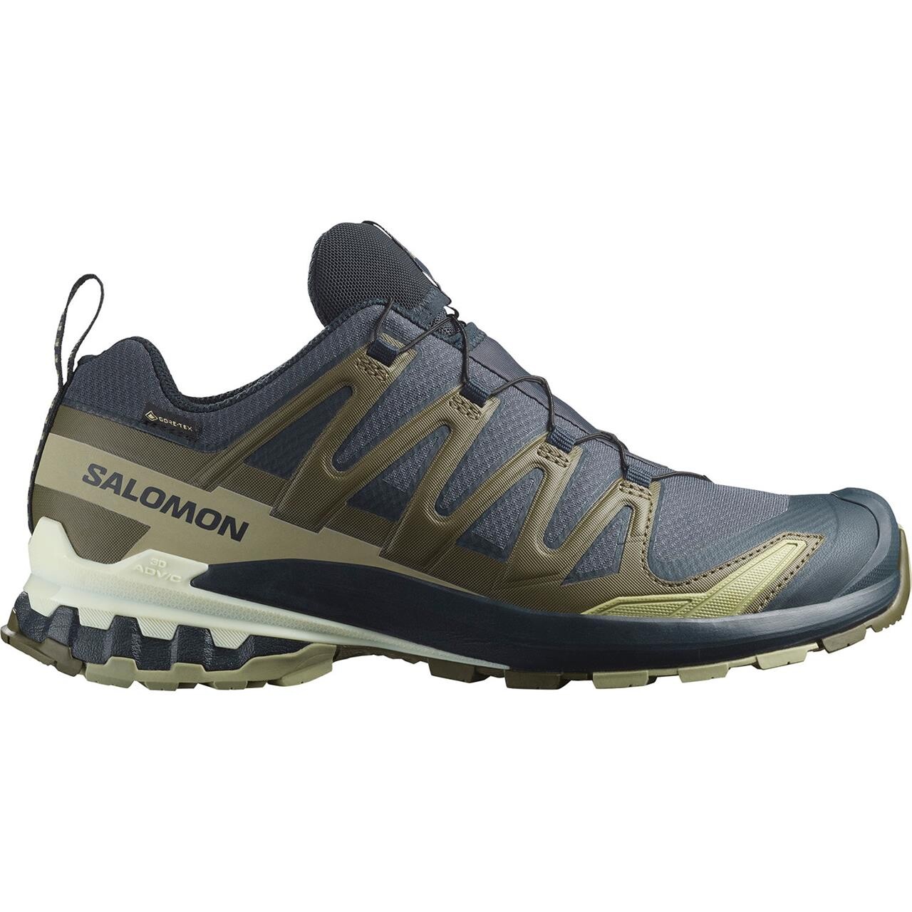 Salomon Mens XA Pro 3D V9 GTX (Grøn (INDIA INK/OLIVE NIGHT/ALOE W) 42 2/3)