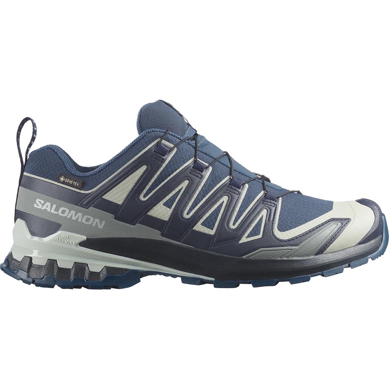 Salomon Mens XA Pro 3D V9 GTX (Blå (SPELLBOUND/MARITIME BLUE/WROUG) 45 1/3)