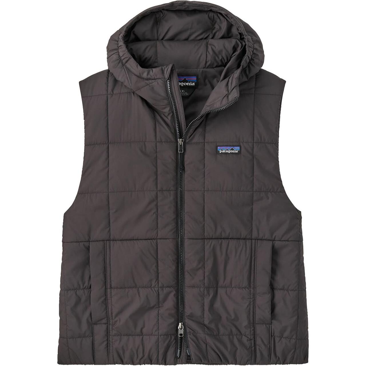 Patagonia Womens Light Gust Hooded Vest (Sort (BLACK) Medium)