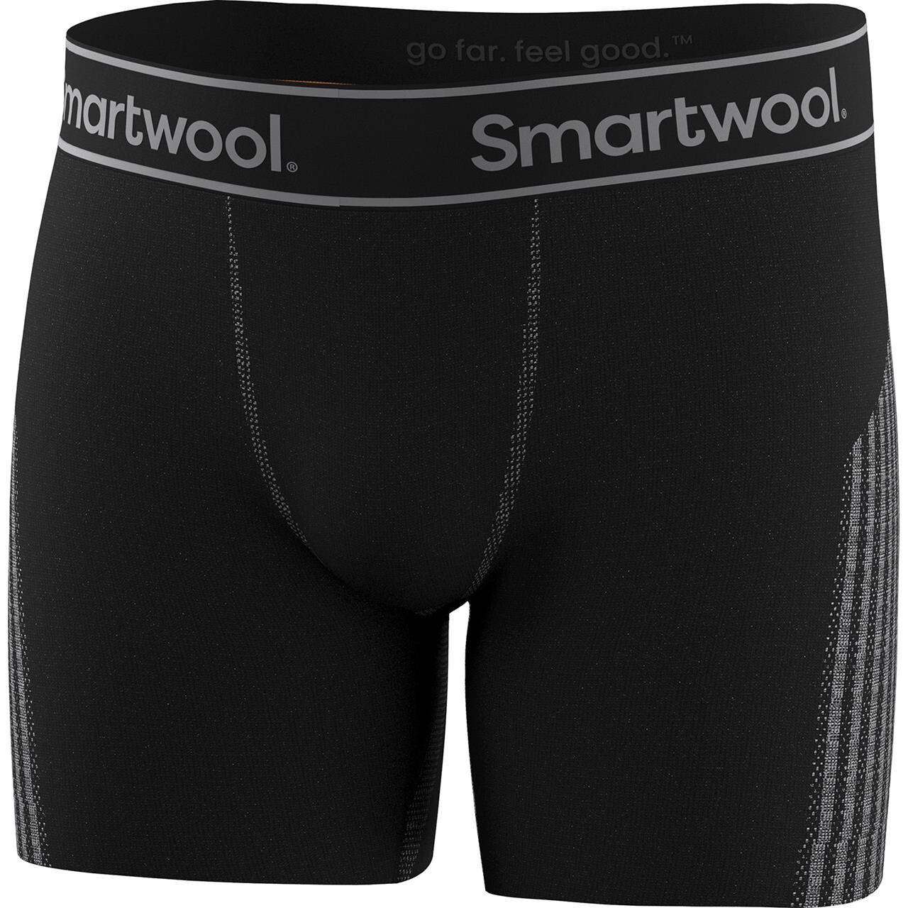 Smartwool Mens Intraknit Boxer Brief Boxed (Sort (BLACK) Large)