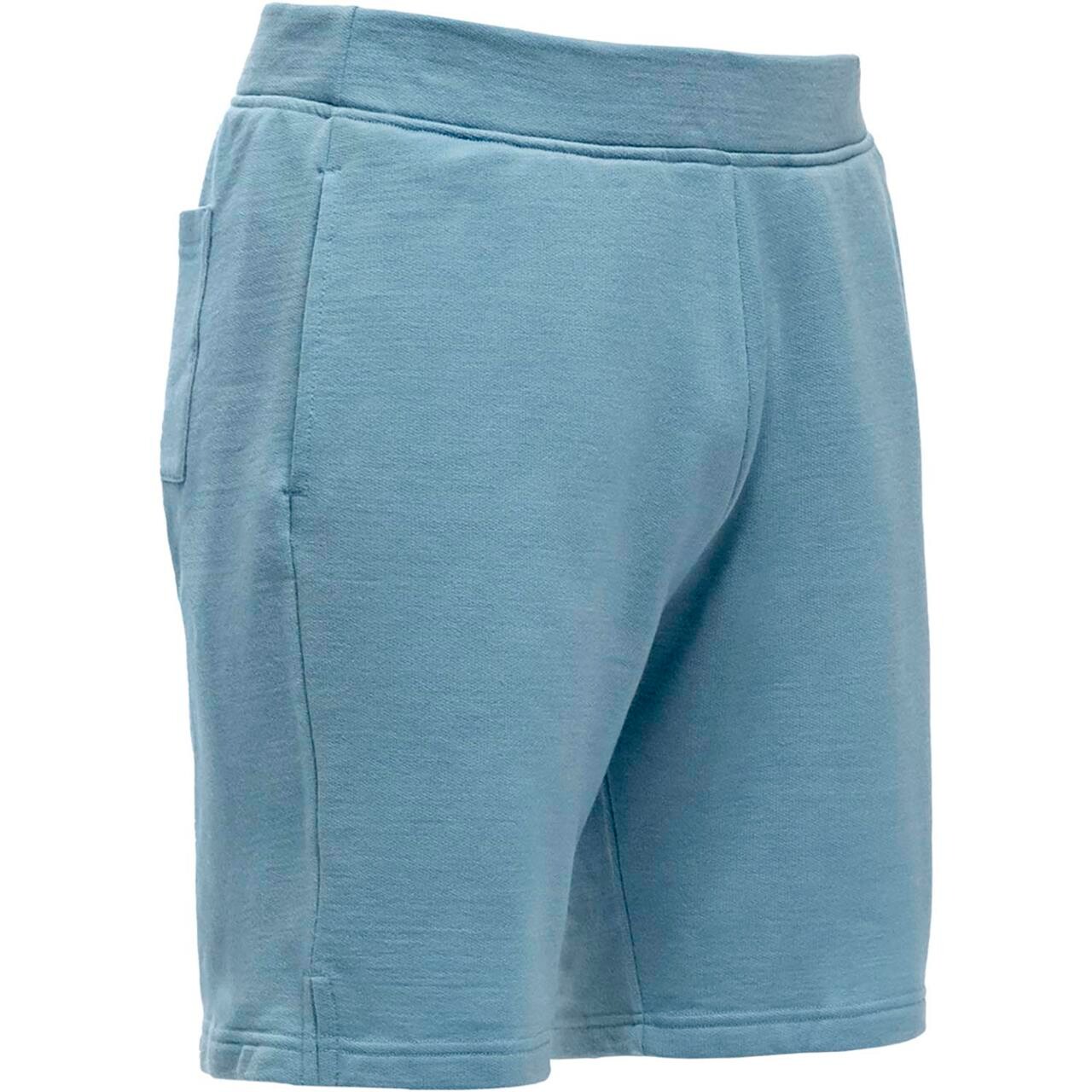 Devold Mens Everyday Shorts (Blå (SKYBLUE) Large)