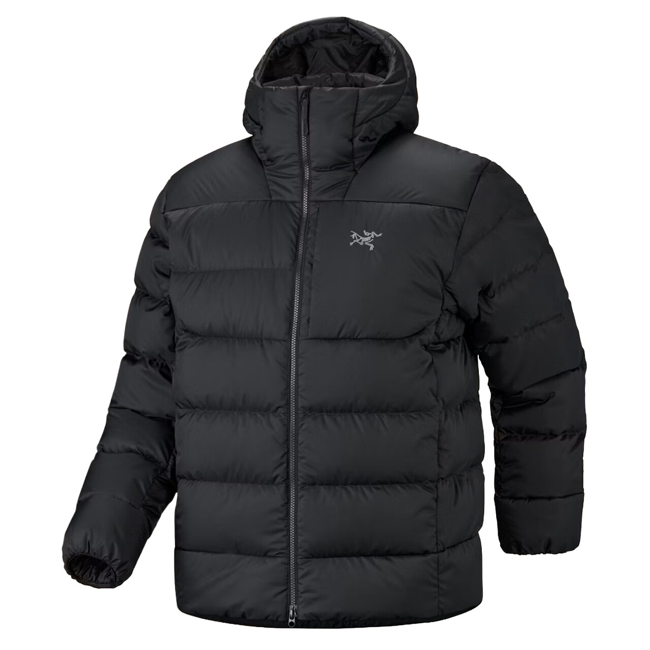 Arcteryx Mens Thorium Hoody M (Sort (BLACK) X-large)