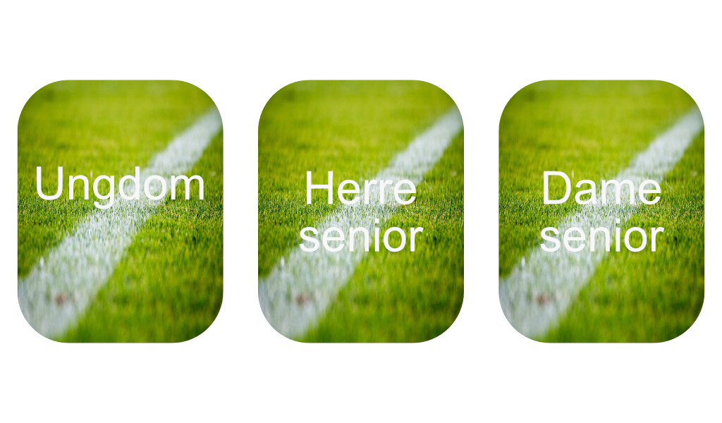 Hold_afdelinger_knapper