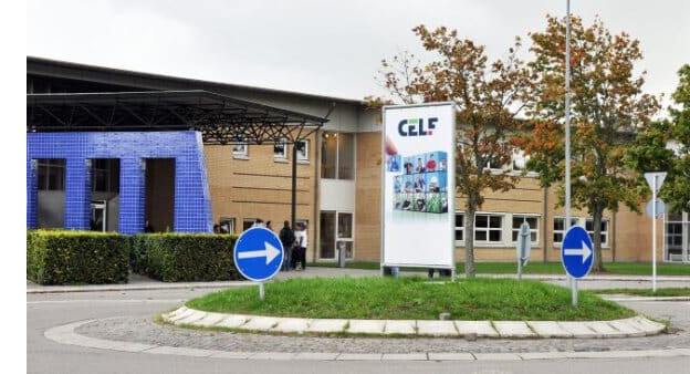 CELF