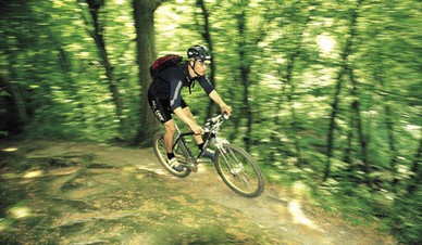 MOUNTAINBIKE_4_(2).jpg