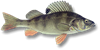 Lystfiskeri
